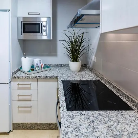 Apartamento Plaza Emilio Luque 5 *